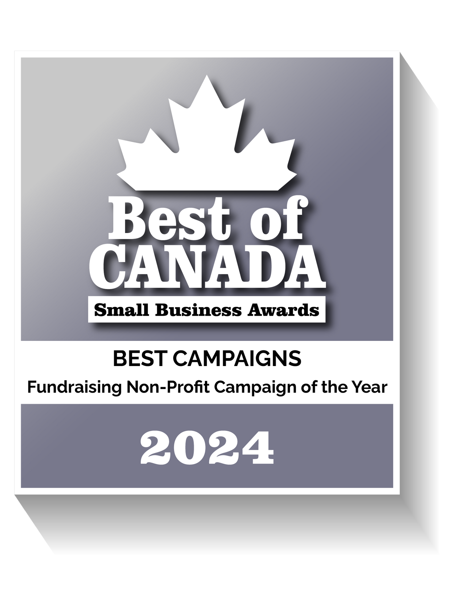 Fundraising Non-Profit Campaign of the Year