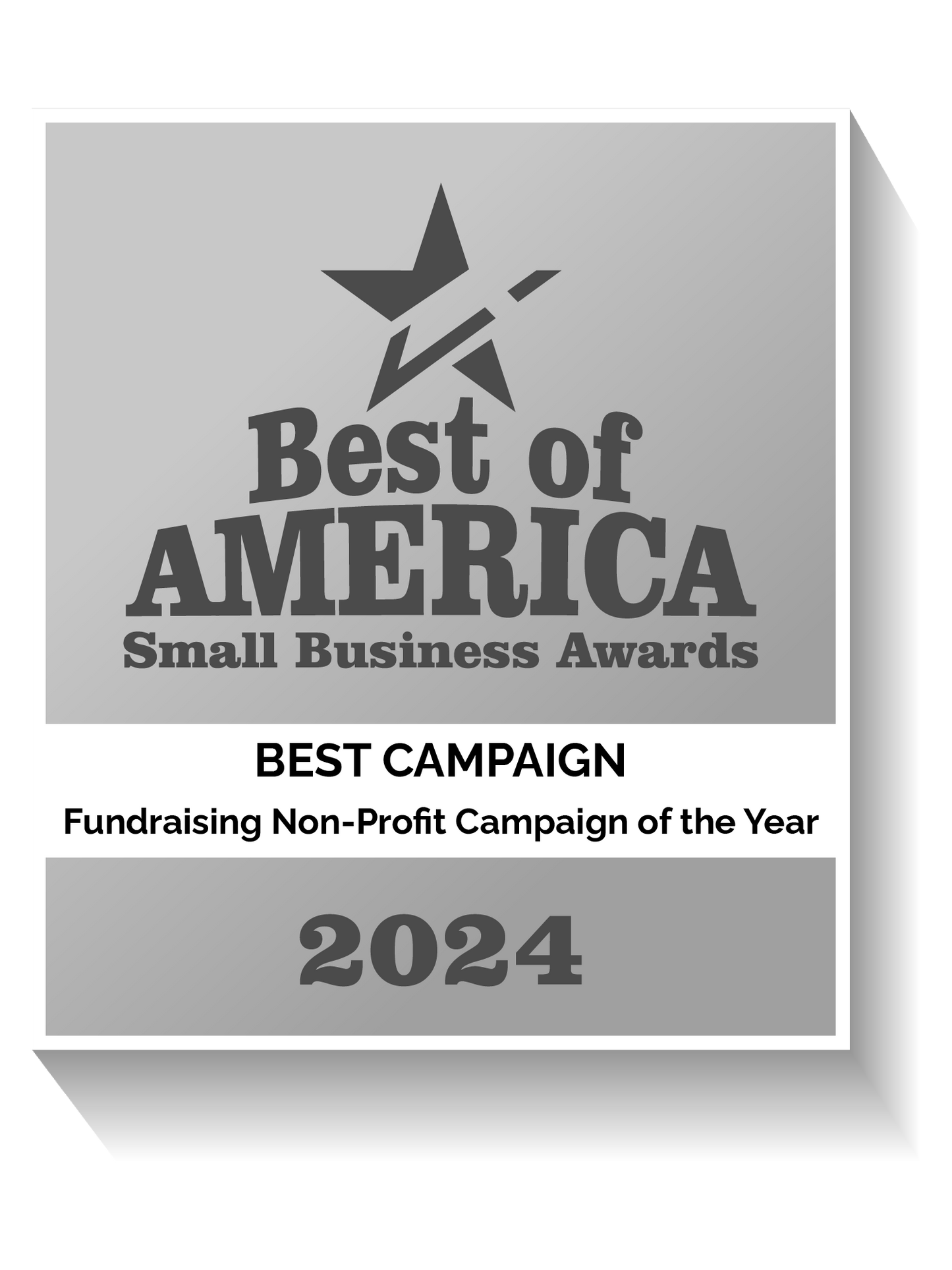 Fundraising Non-Profit Campaign of the Year