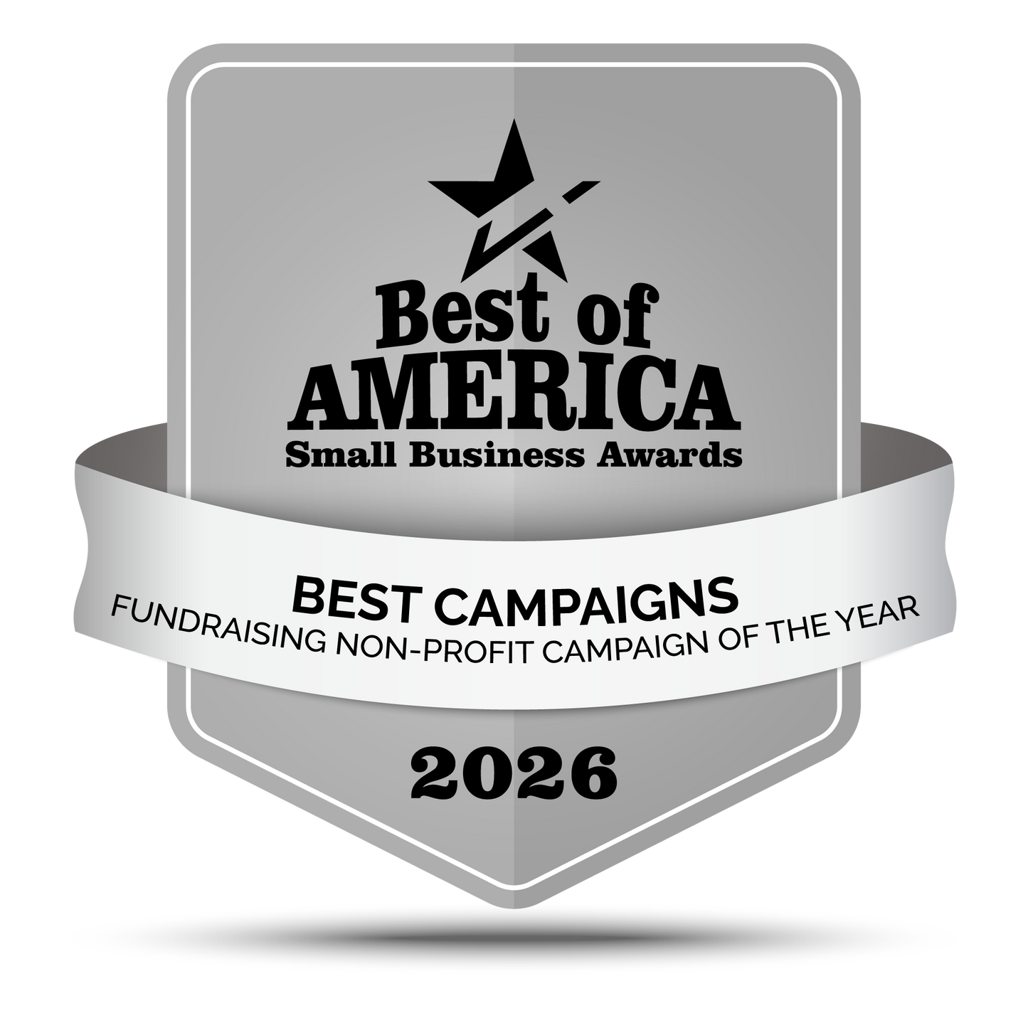 FUNDRAISING NON-PROFIT CAMPAIGN OF THE YEAR