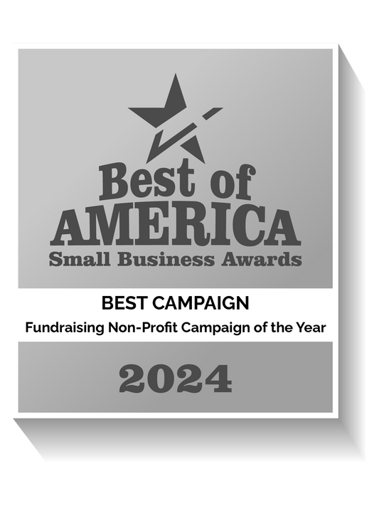 Fundraising Non-Profit Campaign of the Year
