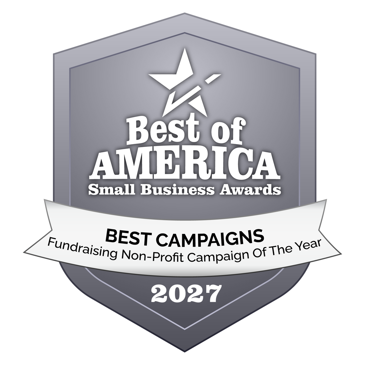 Fundraising Non-Profit Campaign Of The Year