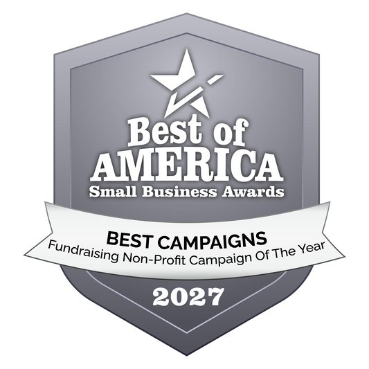 Fundraising Non-Profit Campaign Of The Year