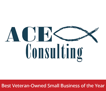 ACE CONSULTING