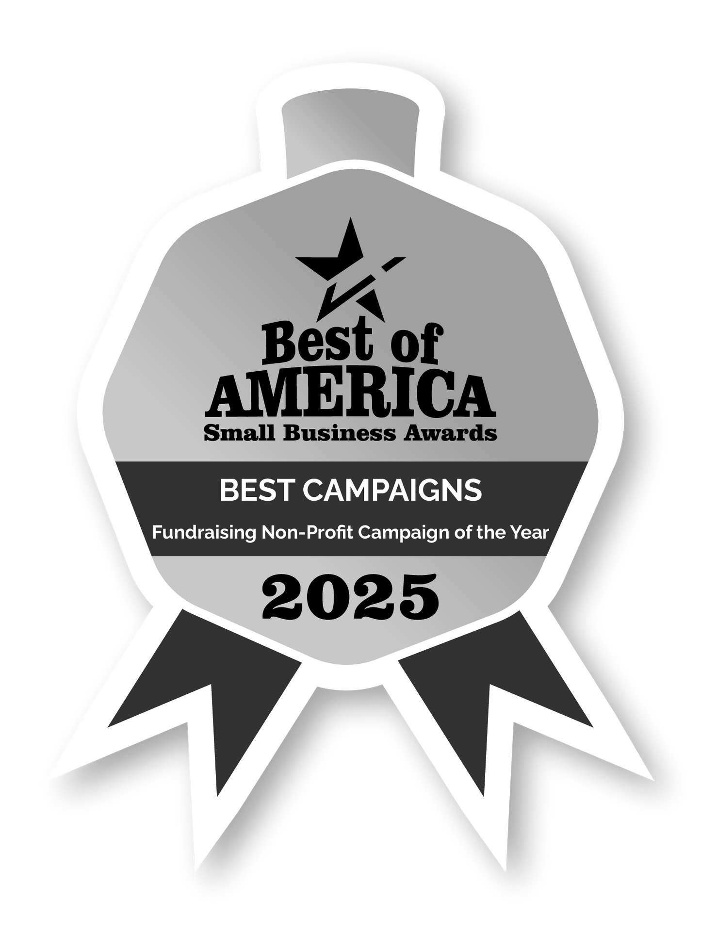 Fundraising Non-Profit Campaign of the Year